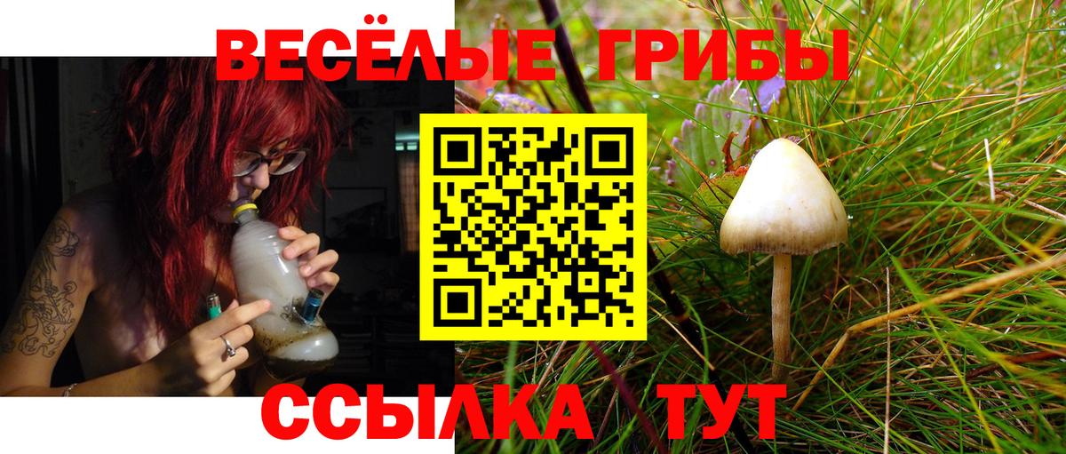 Галлюциногенные грибы ЛСД Ишимбай