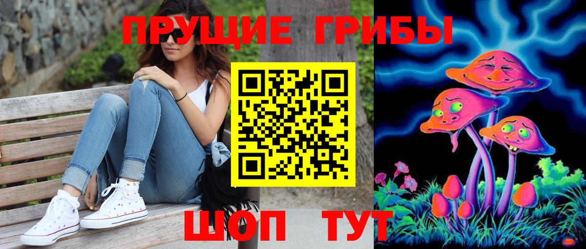Ишимбай  Галлюциногенные грибы Psilocybe  Вход с VPN 